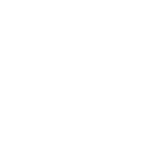 Api